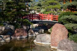 le jardin japonais