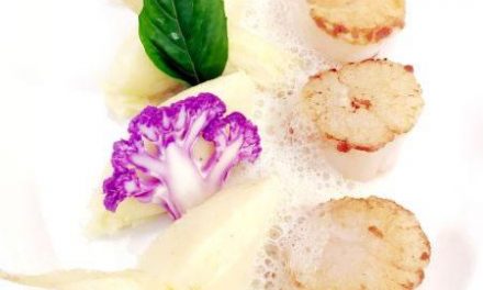 Noix de Saint-Jacques à la nacre, mousseline de panais, fumet de barde au vin jaune