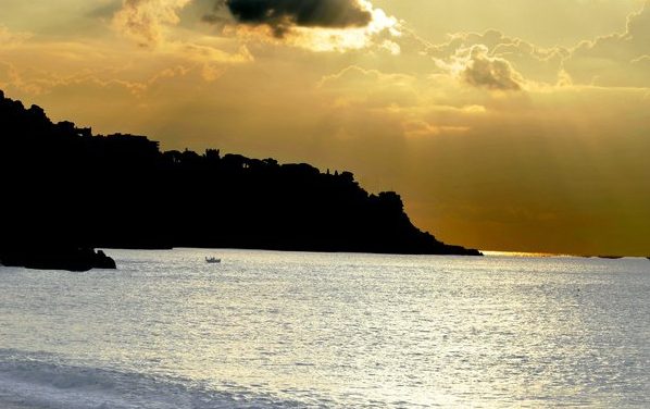 Photo de la semaine : Balade matinale