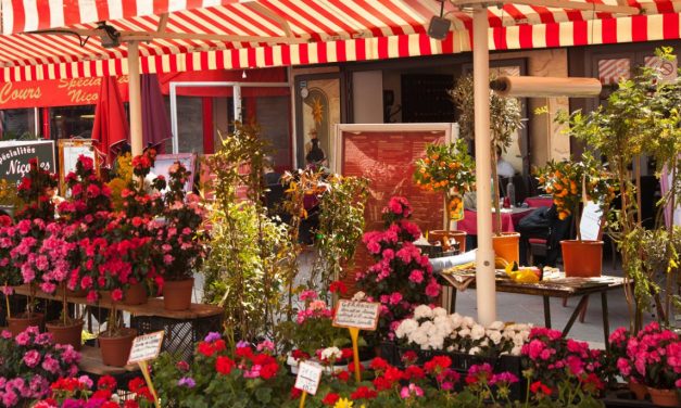 Photo de la semaine : Marché aux Fleurs
