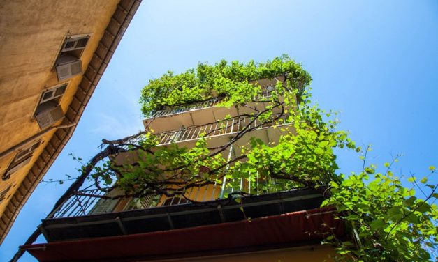 Photo de la semaine : Balcons niçois