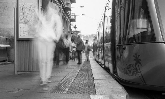 Photo de la semaine : La course matinale