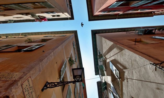 Photo de la semaine : L’oiseau et les façades du Vieux Nice