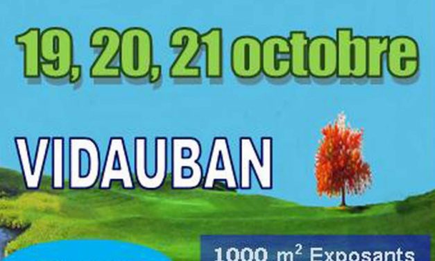 Salon bio, bien-être et artisanat