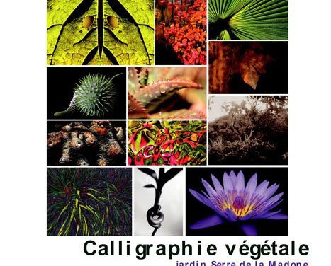 Exposition Végétal Emoi