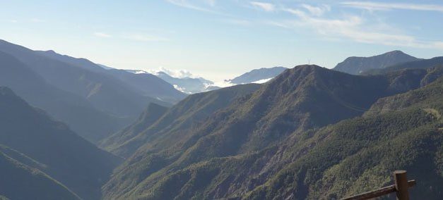 Arboretum de Marcel Kroenlein