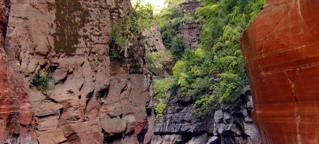 Les Gorges de Daluis