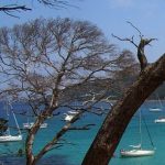 L’île de Porquerolles en vélo