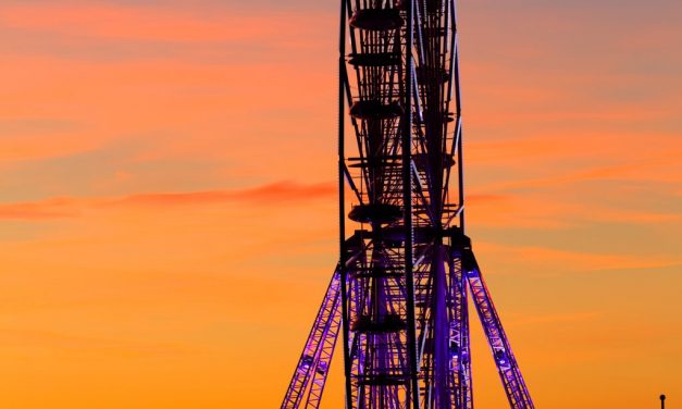 Photo de la semaine : Hello Janvier !