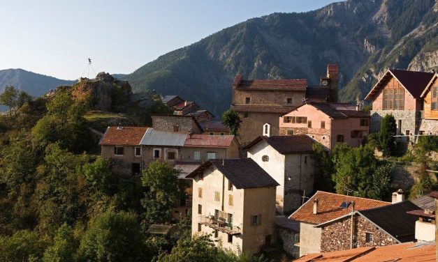 Photo de la semaine : Roure