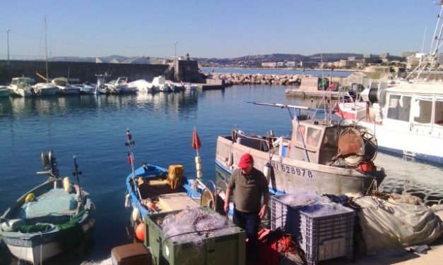 Photo de la semaine : Port Gallice