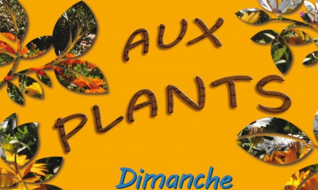 Foire aux plants