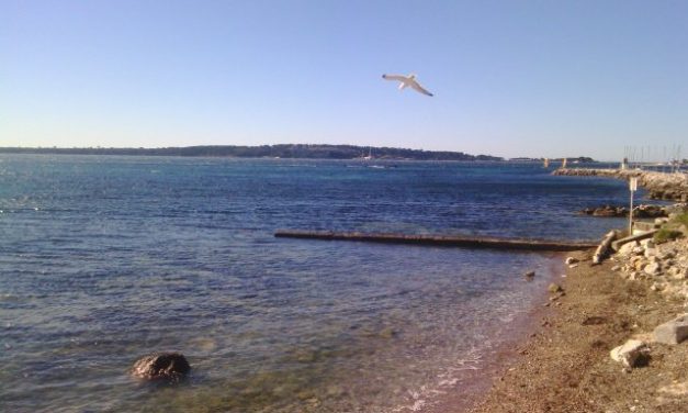 Photo de la semaine : Cap d’Antibes