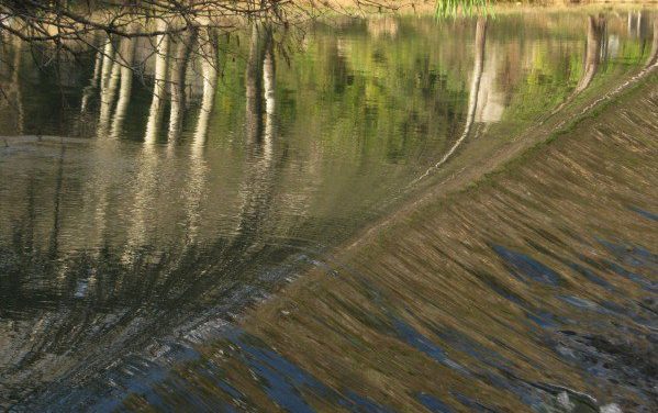 Photo de la semaine : Rives de l’Argens