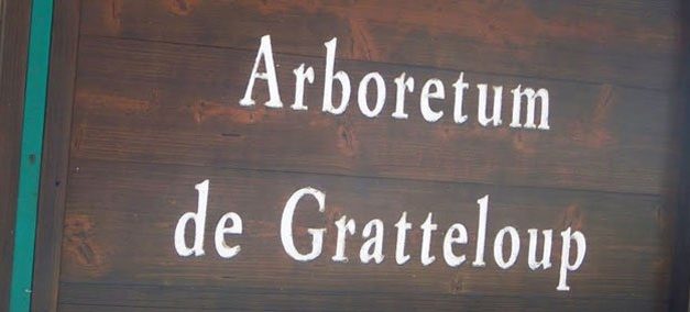 Arboretum de Gratteloup