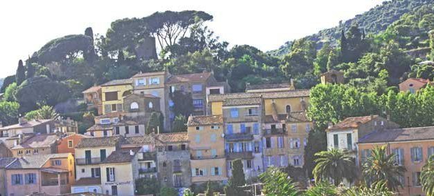 Photo de la semaine : Bormes-les-Mimosas