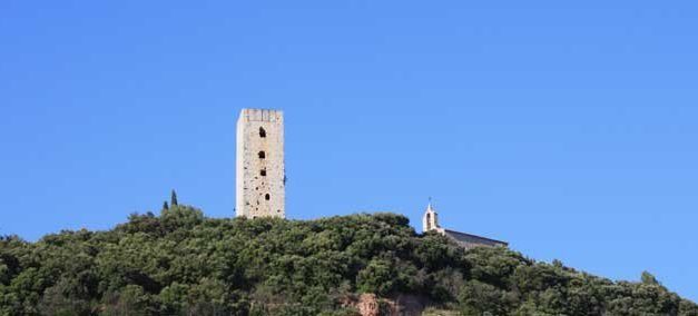 Photo de la semaine : Taradeau