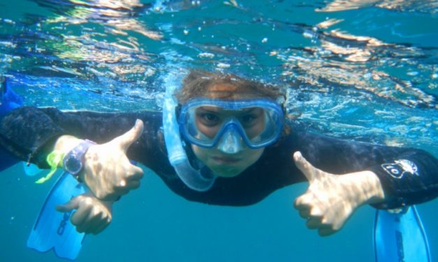 Sorties découverte environnement en palmes-masque et tuba