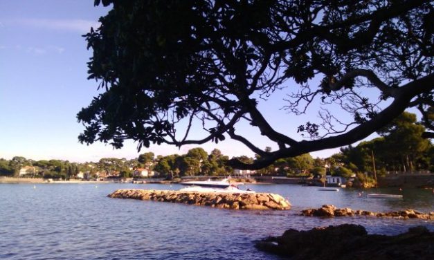 Photo de la semaine : L’automne au Cap d’Antibes