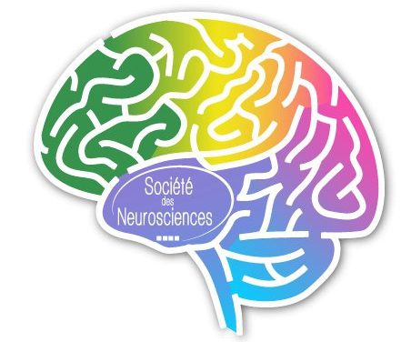 La Semaine du cerveau au Musée international de la Parfumerie