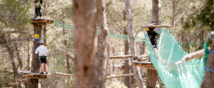 Le Royaume des Arbres