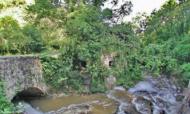 Photo de la semaine : La Siagne