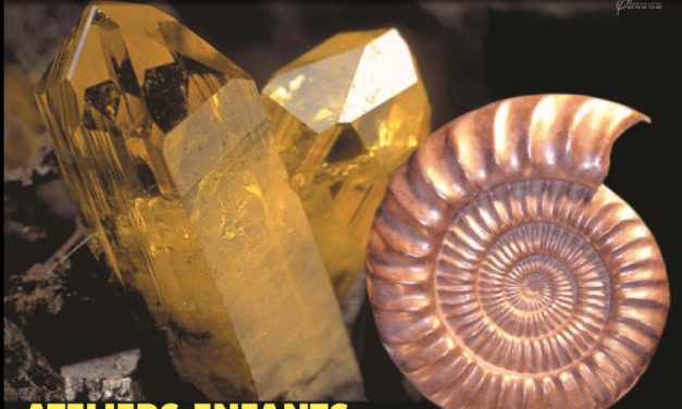 16ème Salon Minéraux, Fossiles, Gemmes