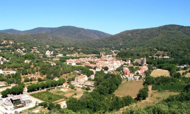 Photo de la semaine : Collobrières