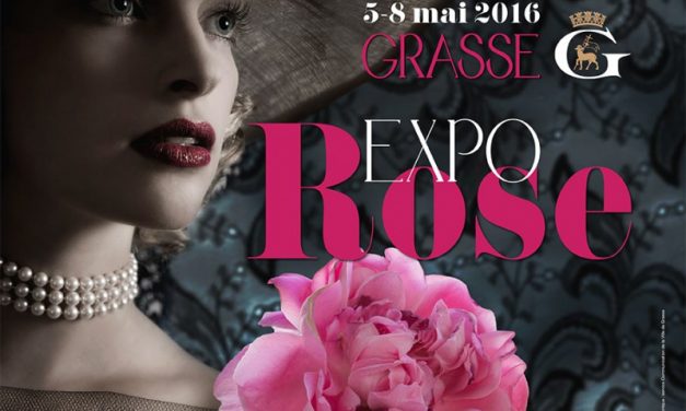 Expo Rose