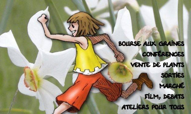 13e Fête du Narcisse