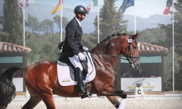 Concours de Dressage