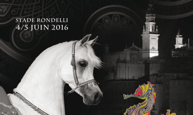 Championnat de pur-sang Arabes à Menton