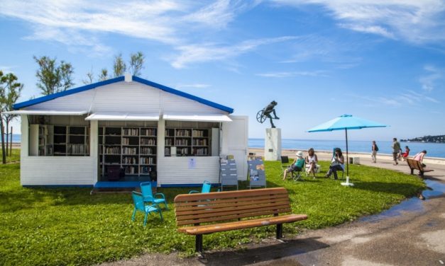 Vos auteurs à la plage !