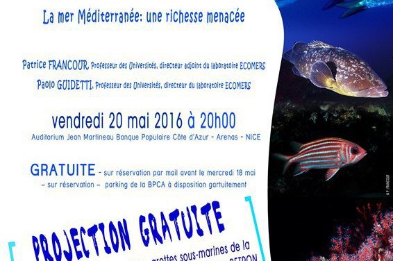 Soirée environnement