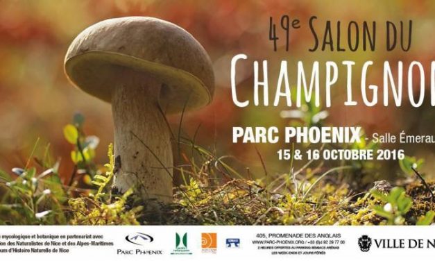 Salon des champignons