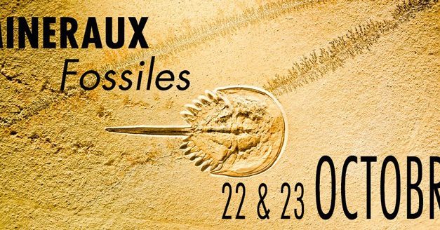 Salon des minéraux, fossiles et pierres précieuses