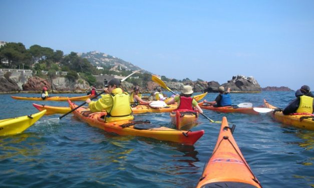 Sorties découverte environnement en kayak
