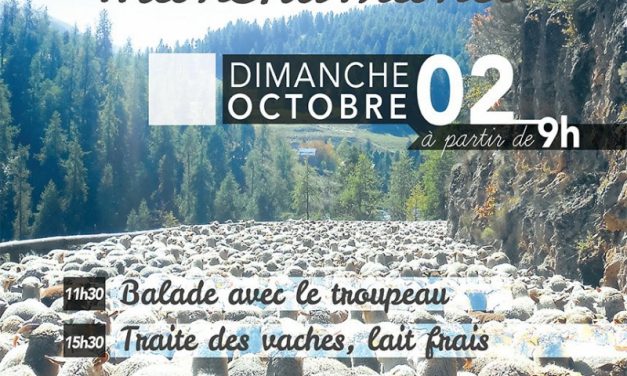 Fête de la Transhumance