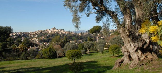 Photo de la semaine : Cagnes-sur-Mer