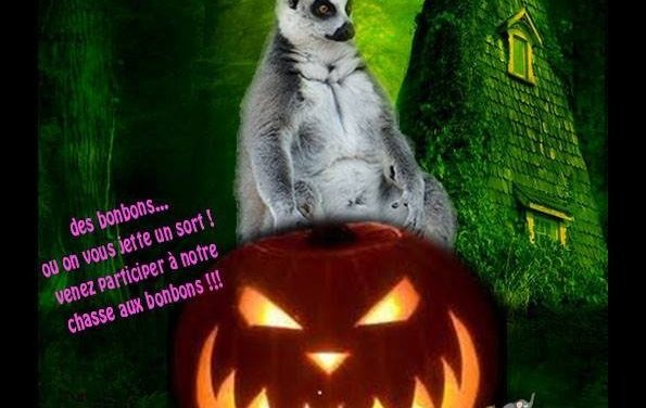 Venez fêter Halloween au Parc Zoologique de Fréjus