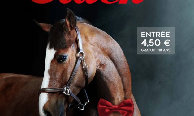 Meeting d’hiver de l’hippodrome