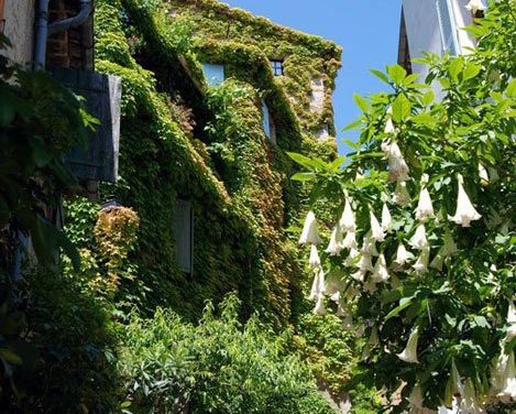 Photo de la semaine : Biot