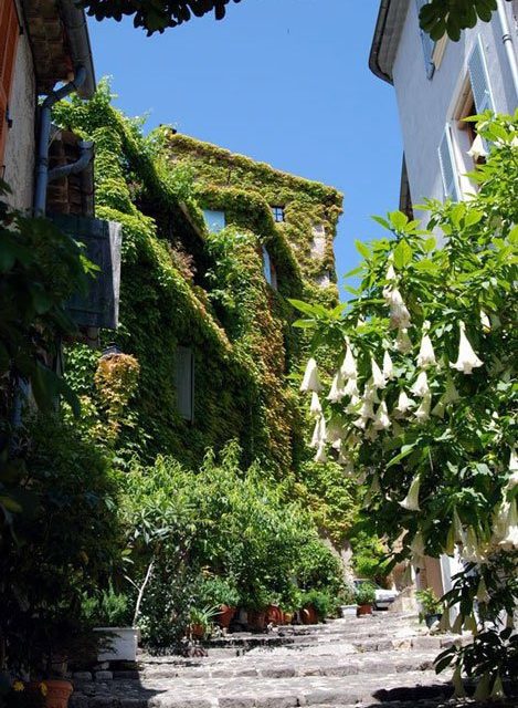 Photo de la semaine : Biot