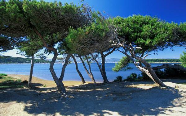 Photo de la semaine : Presqu’île du Gaou