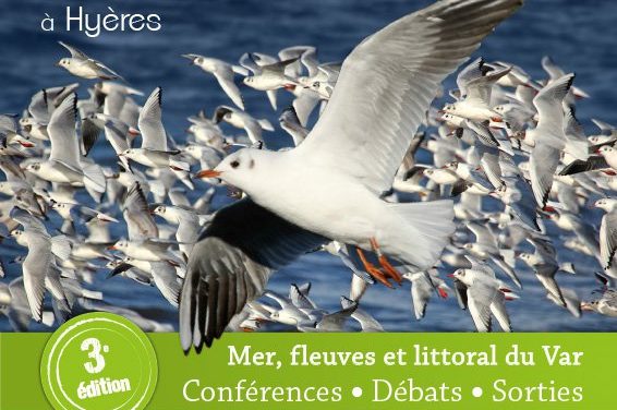 Rencontres Naturalistes PACA