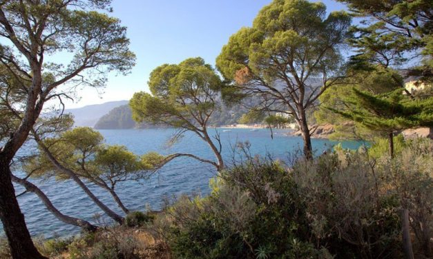 Photo de la semaine : Rayol-Canadel-sur-Mer