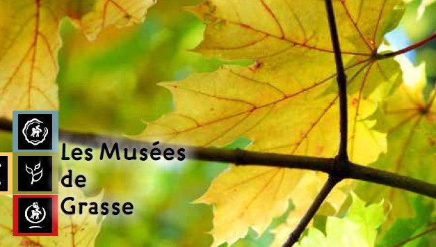 Ateliers et visites guidées vacances de toussaint 2015