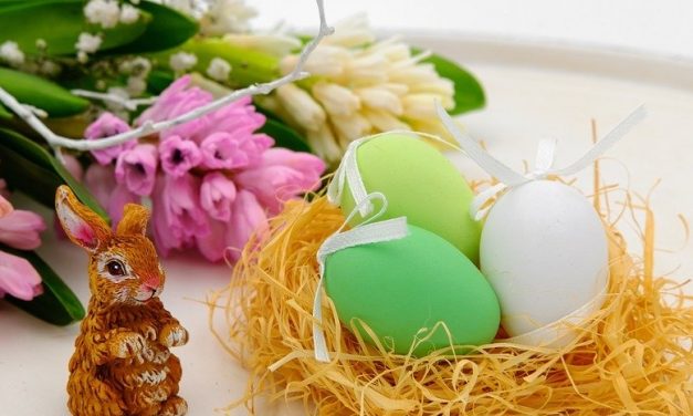 Chasse aux oeufs au Parc Phoenix les 31 mars, 1<sup>er</sup> et 02 avril 2018