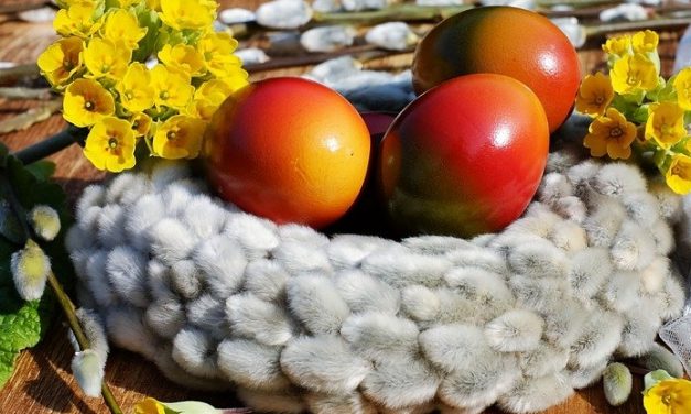 Chasse aux oeufs à la Chèvrerie du Bois d’Amon lundi 02 avril 2018