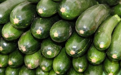 TIAN DE COURGETTES ou DE COURGES